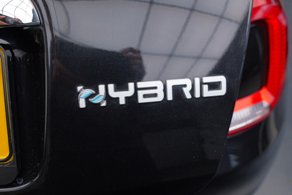 84331416-3441-4ca8-bbe6-574484c9ae21-full