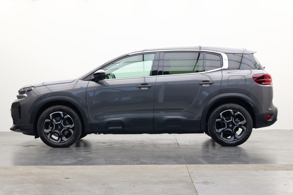 30062194-fff6-439a-ae2e-25f8549002da-full