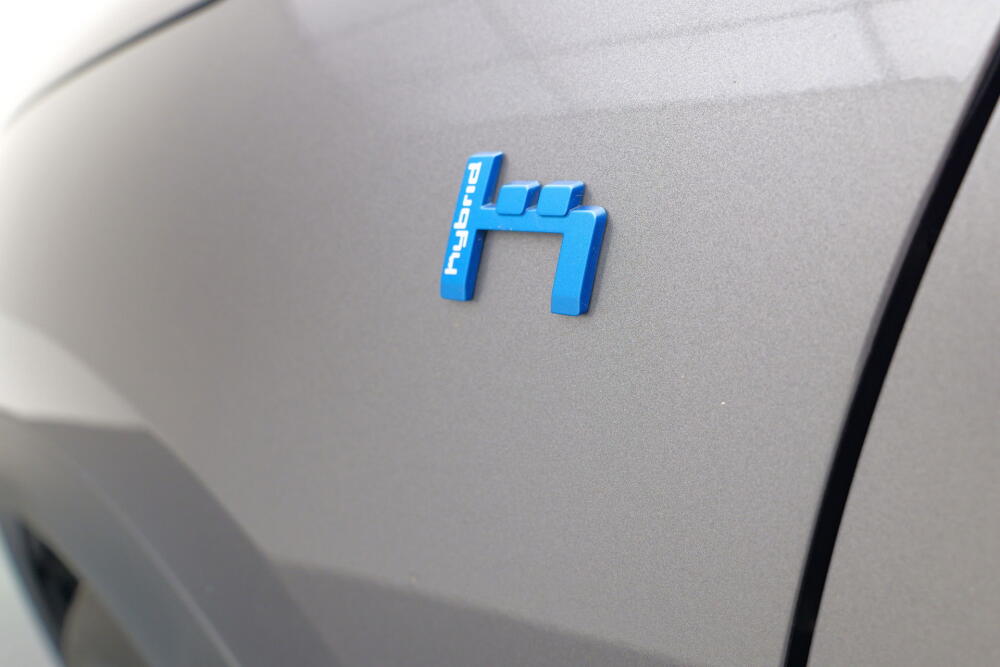 8ff4cec9-fae2-43a7-b583-f6ac7c0fd1ff-full