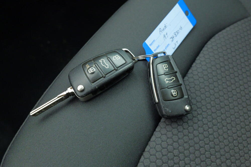 9d75d007-f04d-4fda-8d20-dfbfafa315fc-full