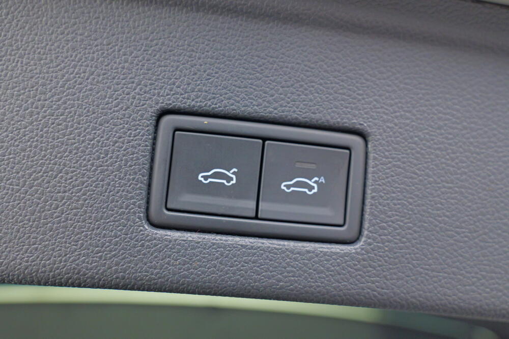 2bb3c2f9-fb55-4dc3-9df9-9bfd37c8f8f5-full