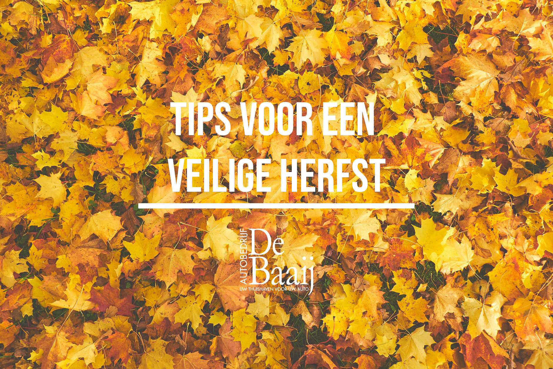 herfstblog