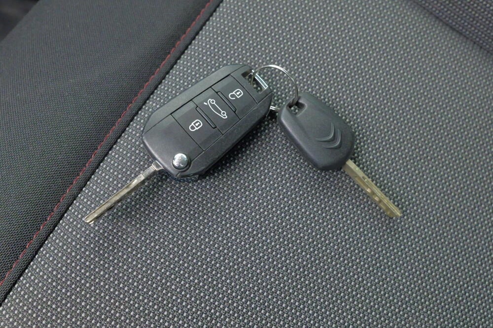 63cfb0f5-786a-4f15-ad96-74e7a639a976-full