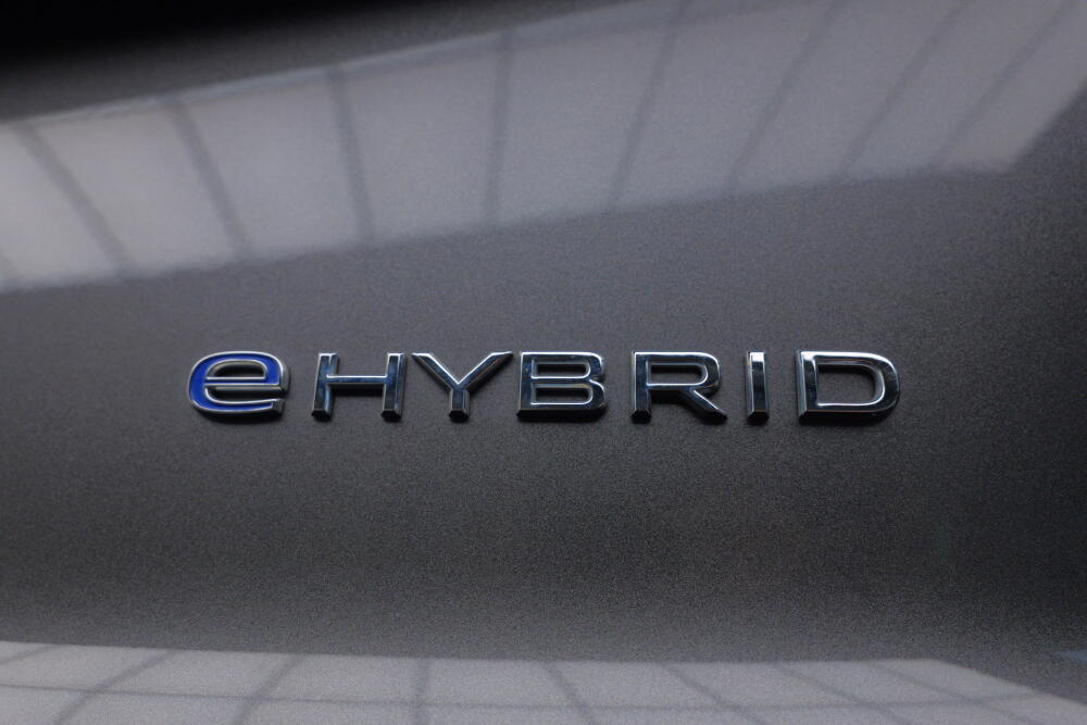 3e6667d7-1365-40f6-8ff3-bbb9d2f28657-full