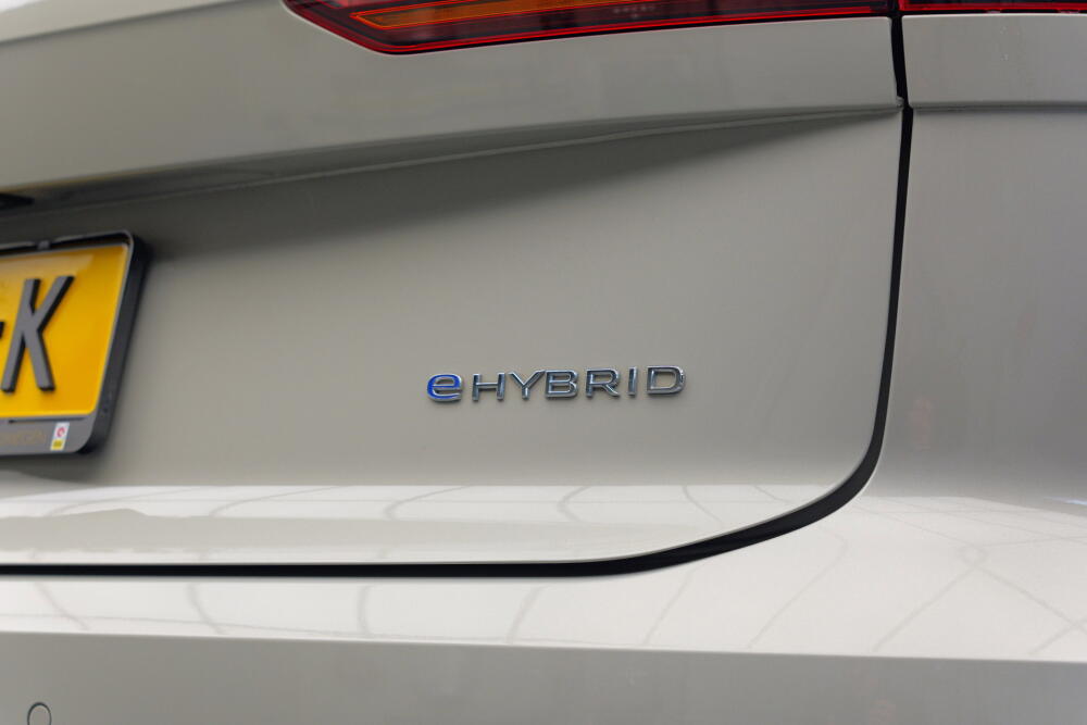 19483f8d-7c75-4308-b331-fef7e11d8be7-full