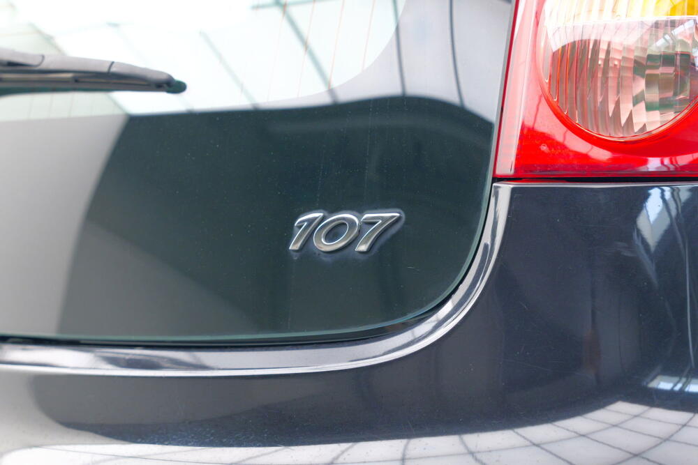 79b8ff1a-4e1c-4887-86e8-aefc3c83774b-full