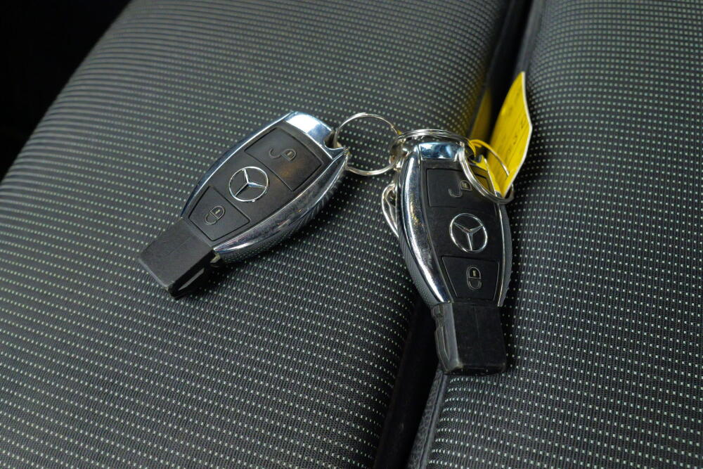 3d2d131d-e850-4957-b725-2e4b5d62371b-full