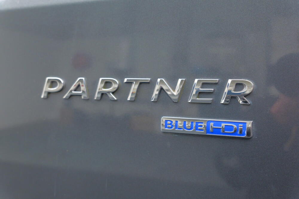 d65d6313-8f19-4789-aa31-4d01ef5afe17-full