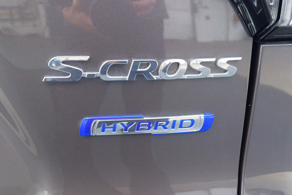 1f5a875e-ec34-4c2c-8c9a-76cee98cfaaa-full